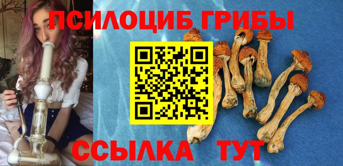 Галлюциногенные грибы Cubensis  Вход с VPN  купить закладку  Новотроицк  Псилоцибиновые грибы Cubensis 