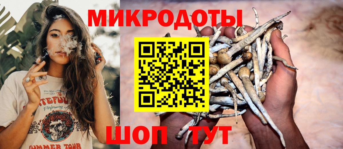 Галлюциногенные грибы Cubensis Новотроицк